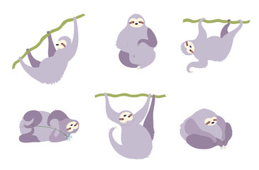 Vector illustration set of cute character sloth