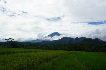 Fototapeta premium amazing natural scenery