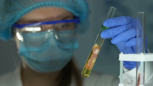 Lab expert looking at meat sample in test tube, monitoring reaction risk of asf
