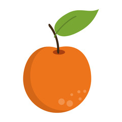 Orange fruit fresh food