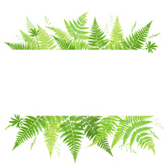 Frame with fern leaves. Template for the invitation. Wild field herbs. Forest background. Banner with foliage