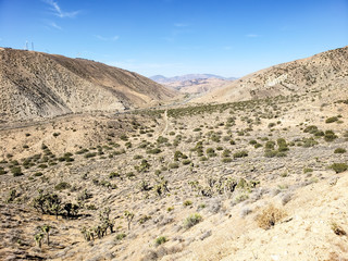 Mojave desert