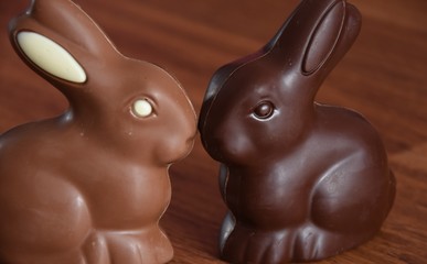 two chocolate hares, dark and milk