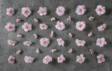 Pattern of flowers background concept.