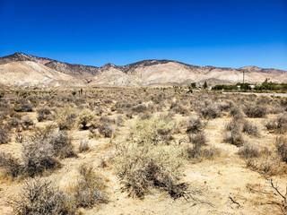 Fototapeta na wymiar California Mojave Desert