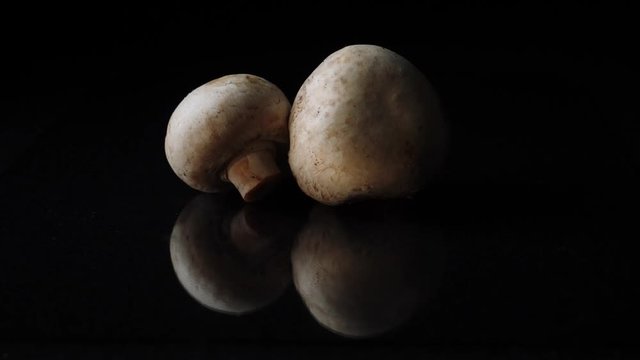 White mushrooms champignons whole on black background. Frame. Champignons on black background. Whole mushrooms rotating on black mirror background