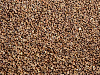 buckwheat groats on white