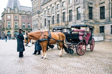 Horse and Carriage in Amsterdam