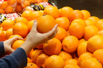 대형마트 과일코너에서 오렌지를 고르는 주부의 손