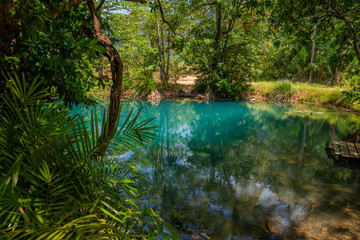 Emerald water in forest. Blue lake in jungle 