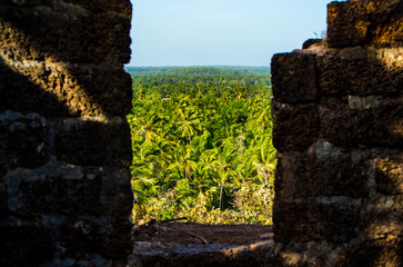 View of Palm Field from Yashwant Gad Fort, Maharastra, India © Zamarreñian