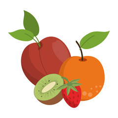 fruits healthy and fresh food