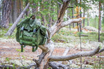 Small travel backpack hanging on dry bark in woods in summer.