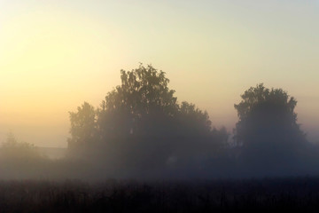 Fototapeta na wymiar Picturesque fairy sunrise over a misty meadow in summer morning