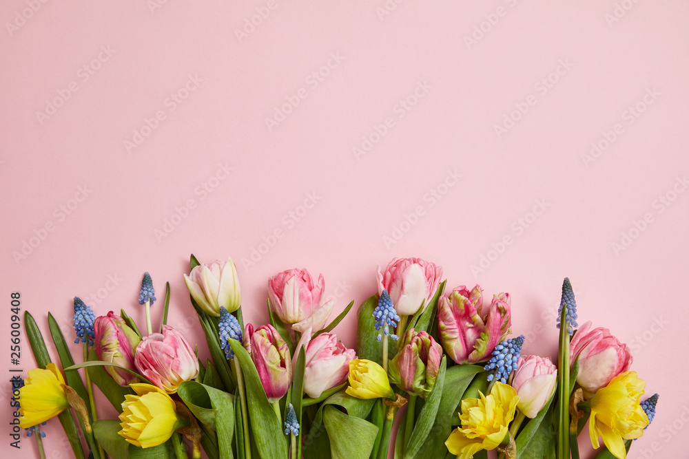 Wall mural top view of beautiful pink tulips, blue hyacinths and yellow narcissus flowers on pink background