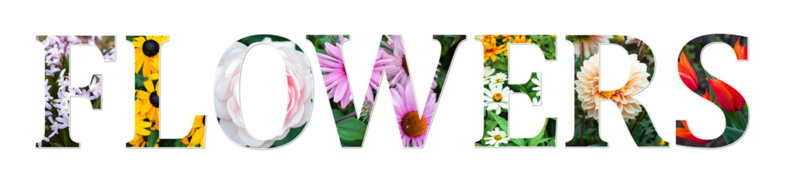 flowers collage sign made of real floral photos. Botanical font