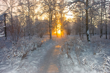 MidDay  (Полдень 22 декабря)  