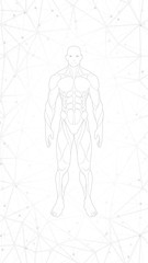 halftone gray white wallpaper background . contour shape human body anatomy neon hologram projected at black background , sci fi interface design element , vector illustration
