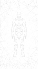 halftone gray white wallpaper background . contour shape human body anatomy neon hologram projected at black background , sci fi interface design element , vector illustration