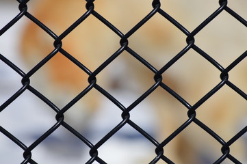 Chain Fence Background
