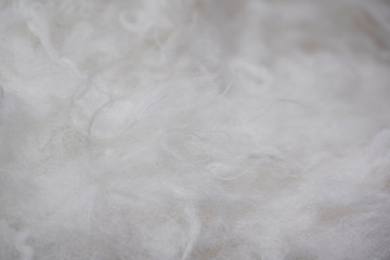 Abstract grey background.Natural fur.