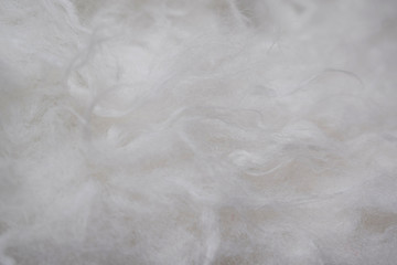 Abstract grey background.Natural fur.