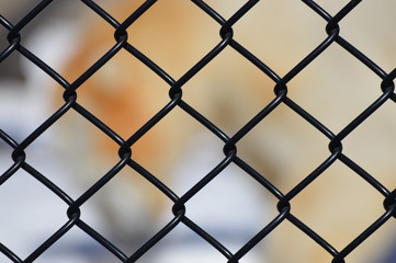 Chain Fence Background