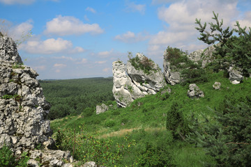 Mirów Castle in Poland and around