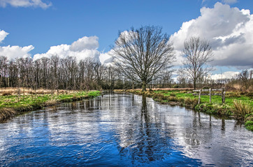 Landscape in the valley of the river Dommel near Valkenswaard, The Netherlands, with forests, solitary trees and meadows under a blue sky with scattered clouds