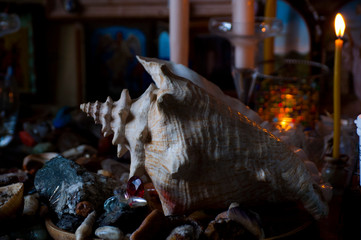 shell