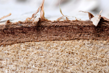 Wooden textural background