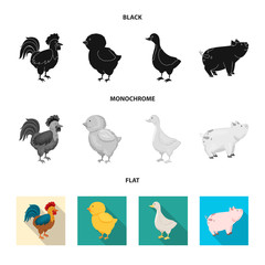 Vector design of breeding and kitchen  logo. Collection of breeding and organic  vector icon for stock.