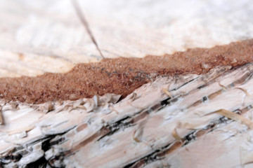 Wooden textural background