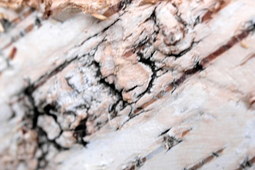 Wooden textural background