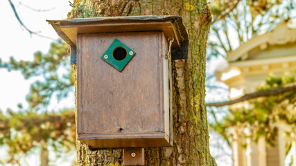 Brown birdhouse hanging on a trunk of a tree with a blurred background, wonderful and sunny winter day in Meerssen south Limburg in the Netherlands