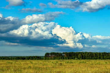 Fototapeta na wymiar Beautiful summer landscape with clouds. Summer background.