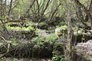 spring in ruins