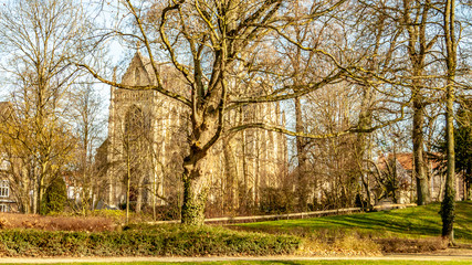 Fototapeta na wymiar Trees without leaves and green grass in the park Proosdij with the Blessed Sacrament or the Basilica of Meerssen in the background, wonderful and sunny winter day in south Limburg in the Netherlands