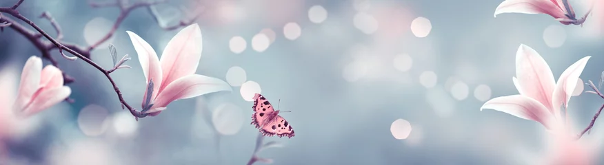 Fototapeten Mysteriöser Frühlingshintergrund mit rosa Magnolienblumen und fliegendem Schmetterling. Prächtiges Blumenbanner. © julia_arda