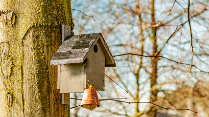 Birdhouse with a fat ball hanging on a trunk of a tree with a blurred background, wonderful and sunny winter day in Meerssen South Limburg in the Netherlands Holland