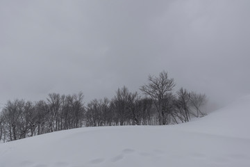 八海山　雪の風景（吹雪）