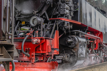 Fototapeta premium Mit der Schmalspurbahn durch den Harz