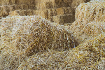 Bales of Straw in a shed for feeding horses
