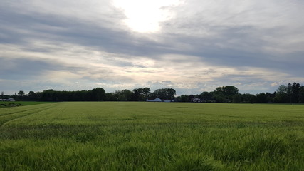 Landscape near lake Regatta in Germany