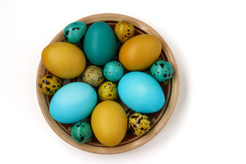 Yellow and blue chicken and quail eggs for Easter, Spring holiday concept