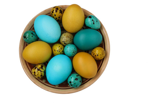 Yellow and blue chicken and quail eggs for Easter, Spring holiday concept