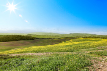 Summer photo of tuscany 