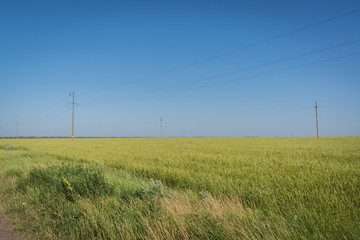 High-voltage lines on a green field on a blue sky background