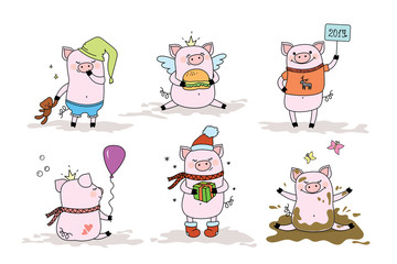 Set of cute pigs,piggy in different poses and situations