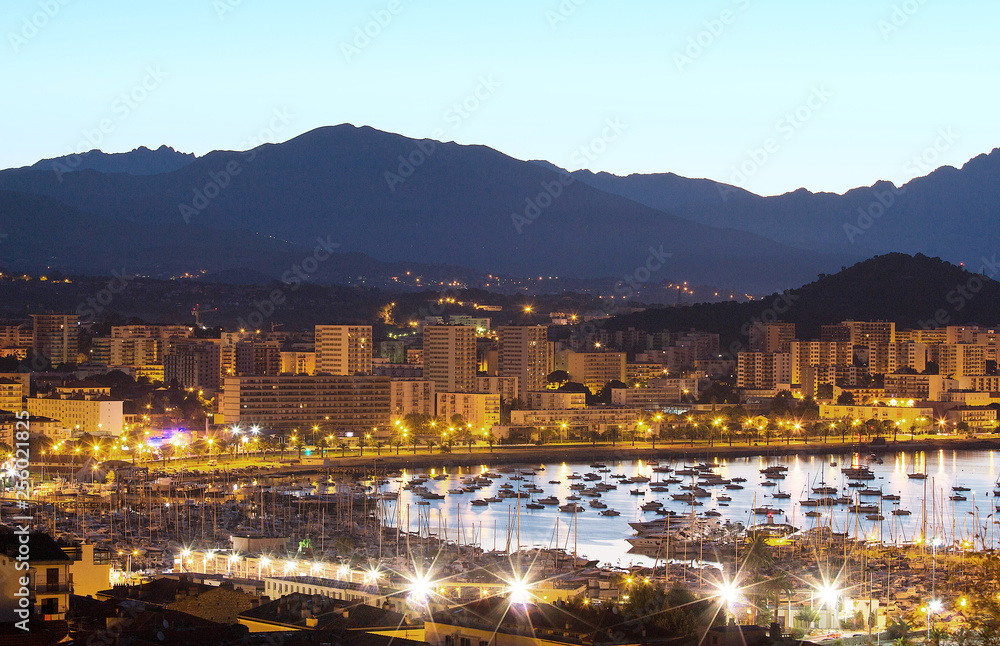 Wall mural the houses of ajaccio city and its marina at night , france, corsica island.